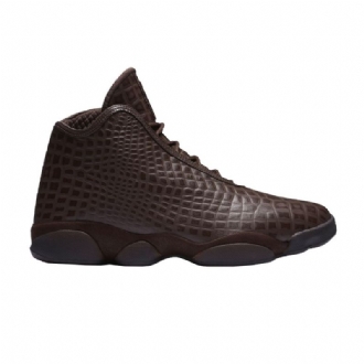 Ανδρικά Παπούτσια Air Jordan Horizon Premium Καστανός