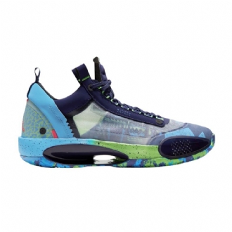 Ανδρικά Παπούτσια Air Jordan 34 Low Μωβ Πράσινος Μπλε Γκρί
