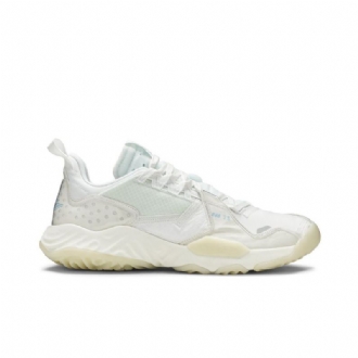 Ανδρικά Παπούτσια Air Jordan Delta Sp Άσπρο