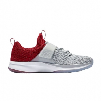 Ανδρικά Παπούτσια Air Jordan Trainer 2 Flyknit Γκρί Κόκκινος Ασήμι