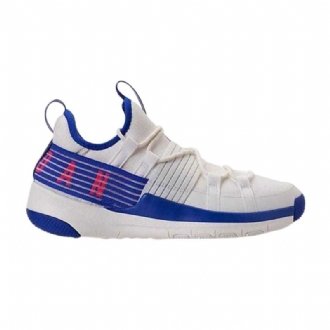 Ανδρικά Παπούτσια Air Jordan Trainer Pro Άσπρο Μπλε Ροζ